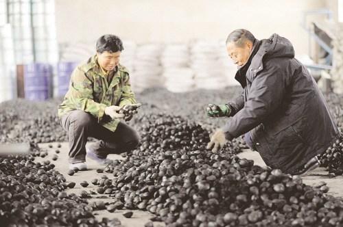 型煤粘合劑分類(lèi)